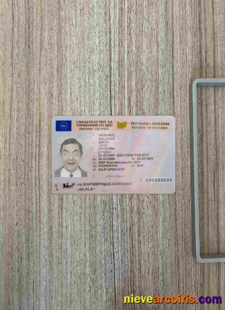 Bulgaria driving license (2010 – present) photolook